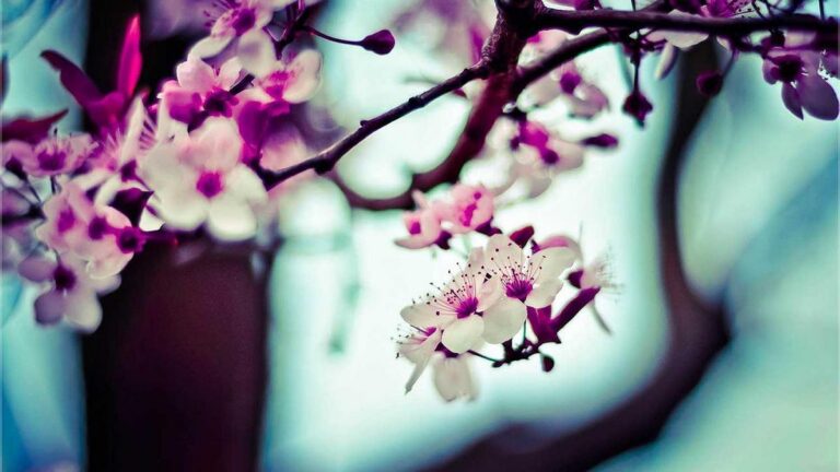 Complete Guide to Slovakia's Toll Road System: Everything You Need to Know in 2024