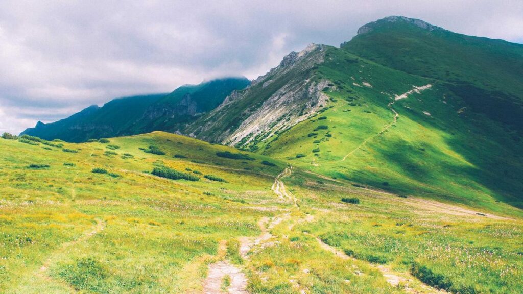 Digital vs Physical Vignettes in Slovakia: Which Option is Right for You?