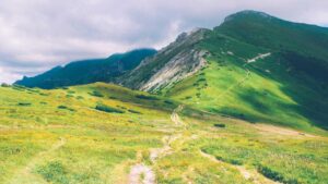 Digital vs Physical Vignettes in Slovakia: Which Option is Right for You?